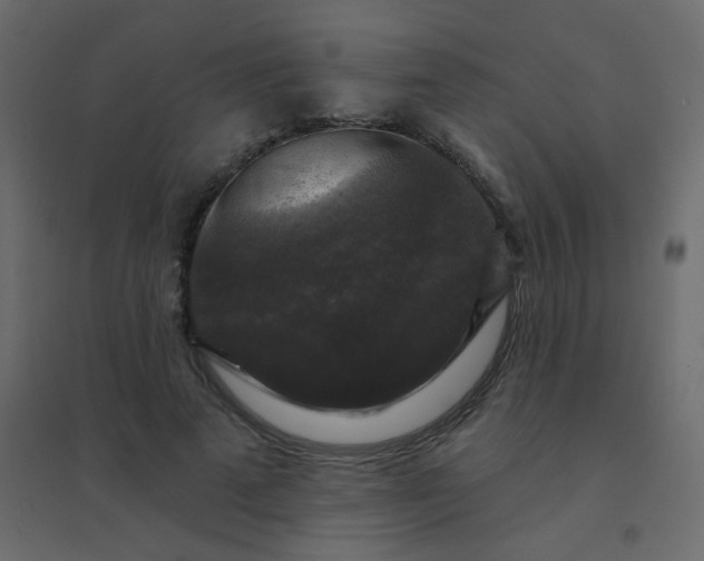 X0000094940689200712131600