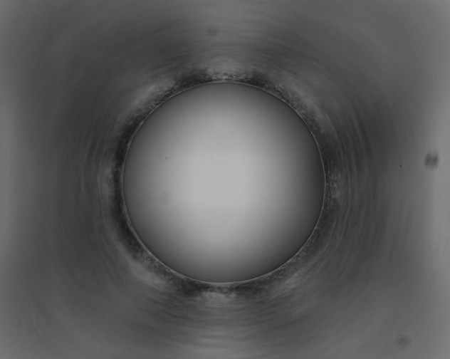 X0000094940690200712131600