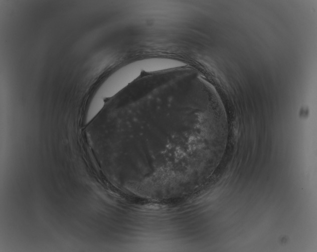 X0000094940691200712131600