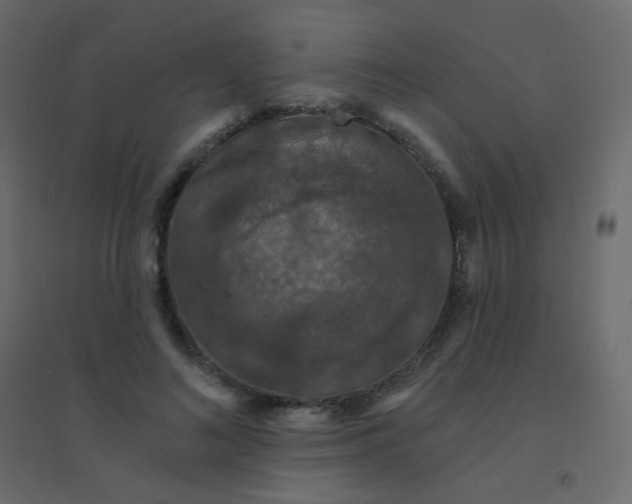 X0000094940692200712131600