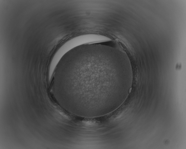 X0000094940693200712131600