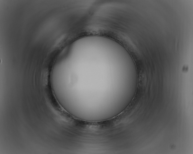 X0000094940694200712131600