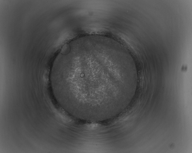 X0000094940695200712131600