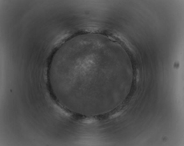 X0000094940696200712131600