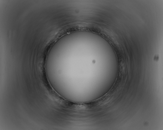 X0000094940698200712131600