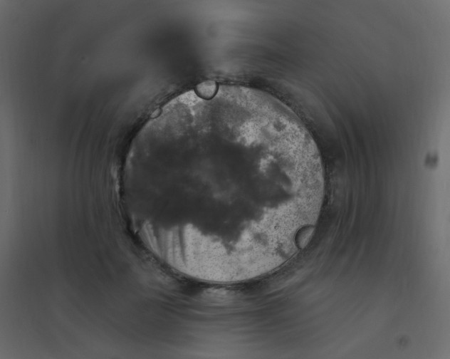 X0000094940699200712131600