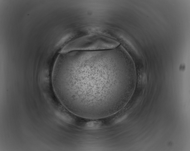 X0000094940700200712131600