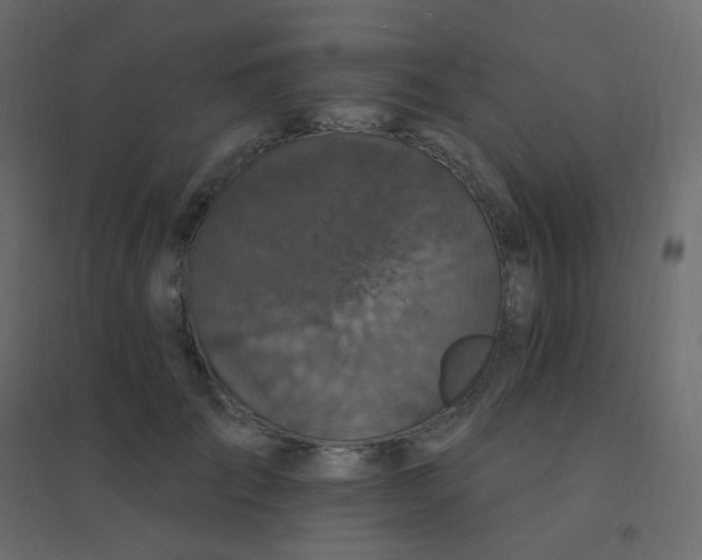 X0000094940701200712131600