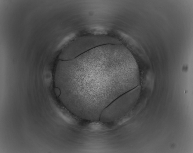 X0000094940704200712131600