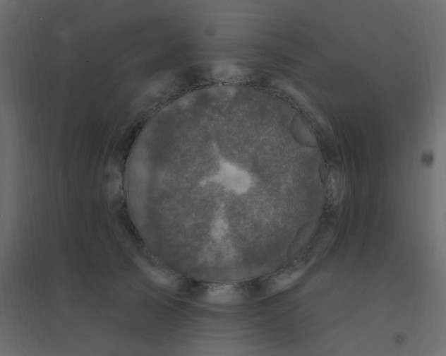 X0000094940705200712131600