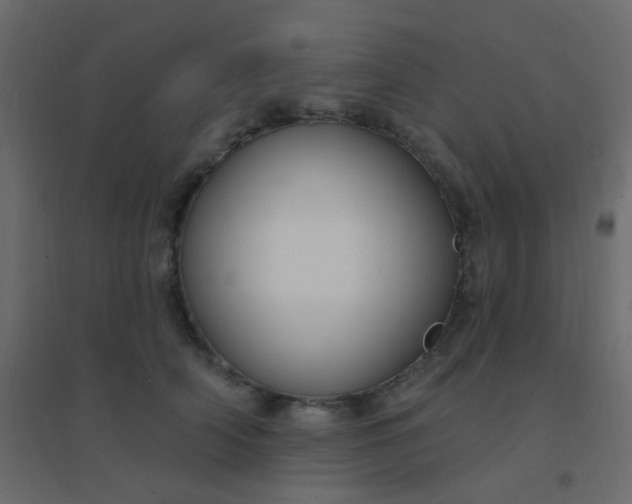 X0000094940706200712131600