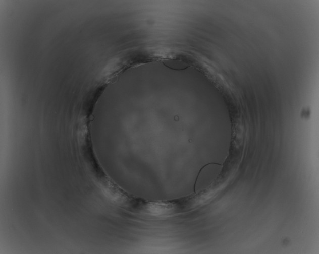 X0000094940707200712131600