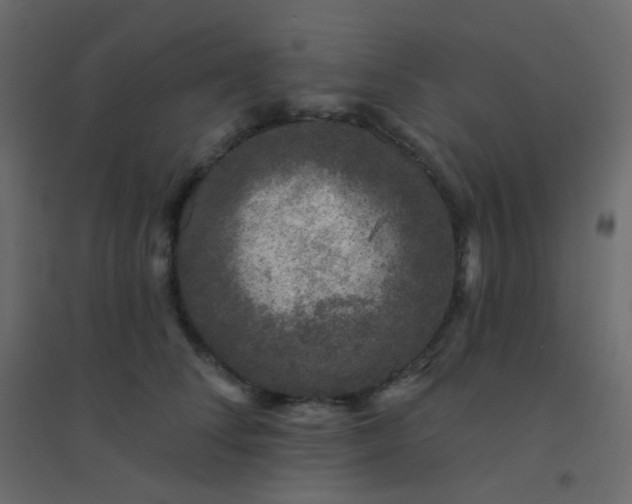 X0000094940708200712131600