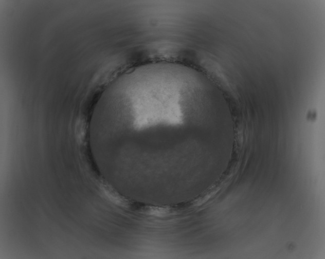 X0000094940709200712131600