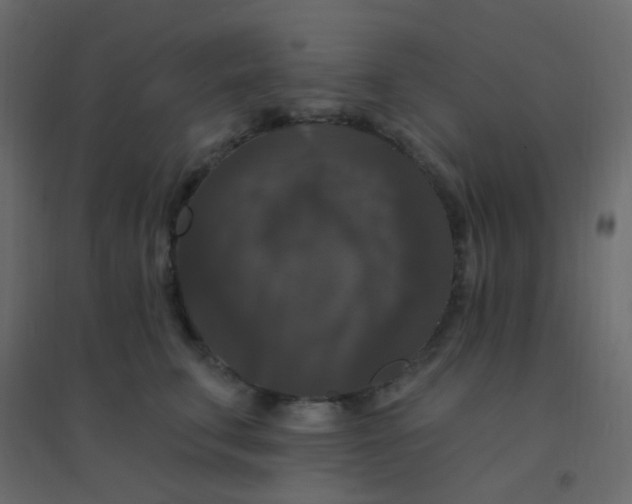 X0000094940711200712131600