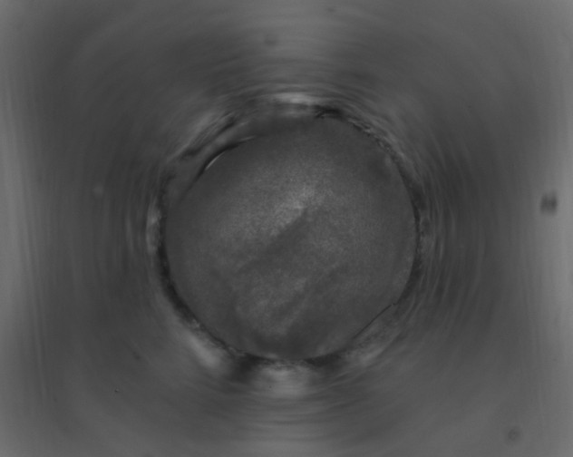 X0000094940712200712131600