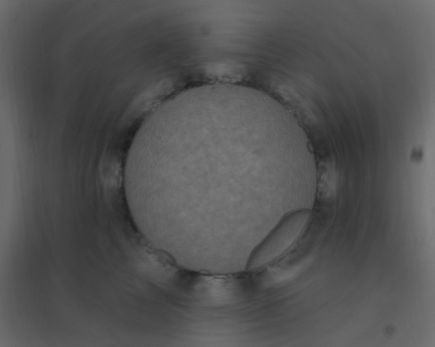 X0000094940713200712131600