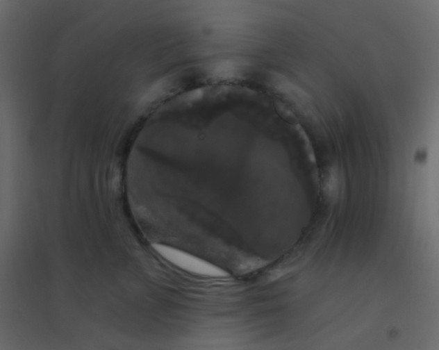 X0000094940715200712131600