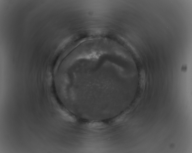 X0000094940716200712131600