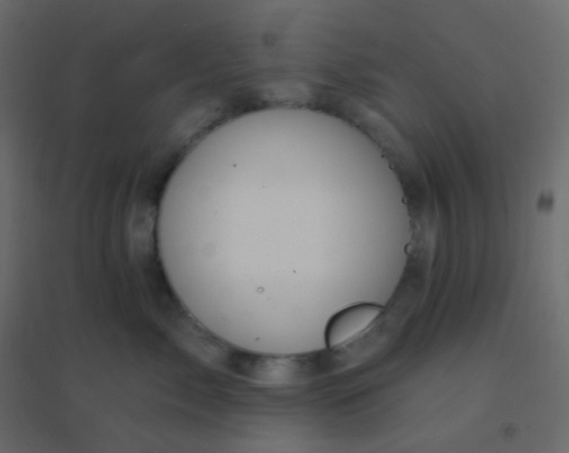 X0000094940717200712131600