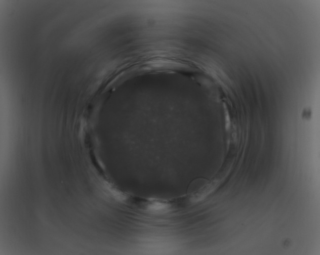 X0000094940718200712131600