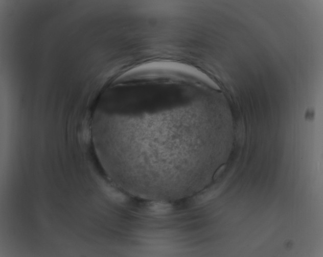 X0000094940719200712131600