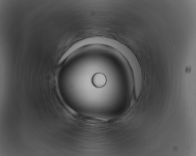 X0000094940720200712131600