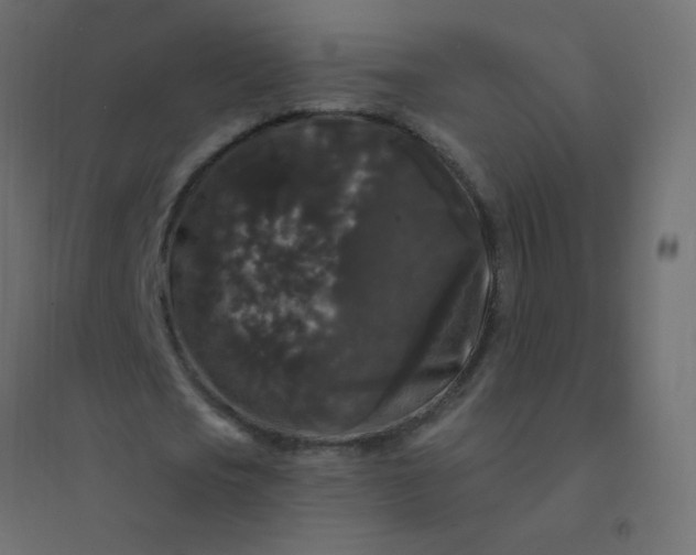 X0000094940721200712131559