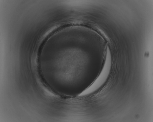 X0000094940722200712131559