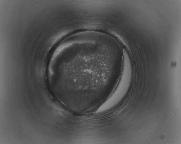 X0000094940723200712131559