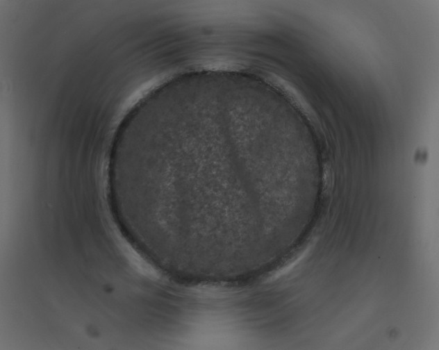 X0000094940725200712131559