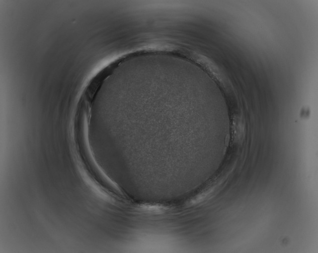 X0000094940726200712131559