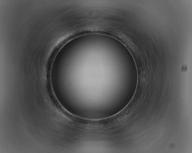 X0000094940727200712131559