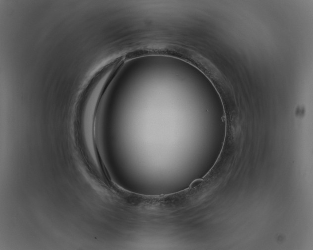 X0000094940728200712131559