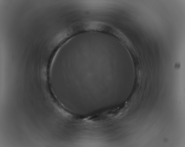 X0000094940729200712131559