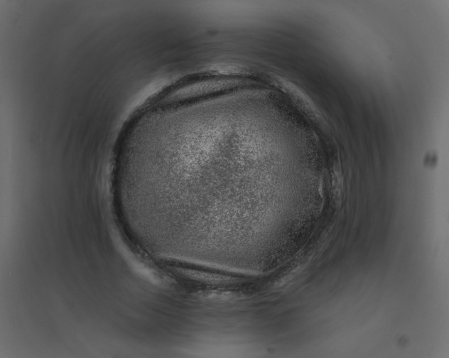 X0000094940730200712131559