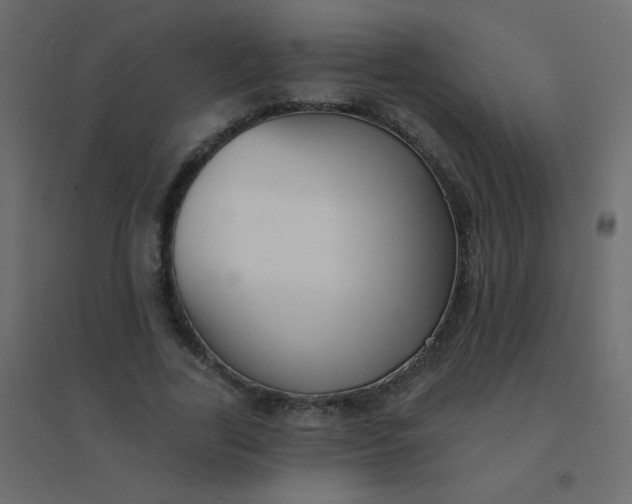 X0000094940731200712131559