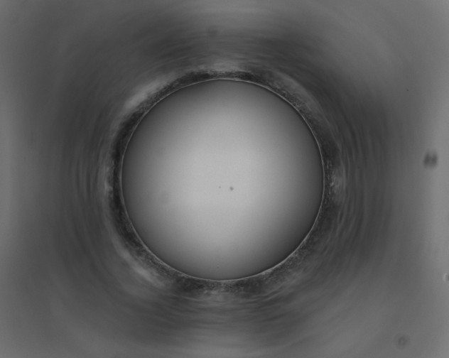 X0000094940732200712131559