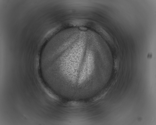 X0000094940733200712131559