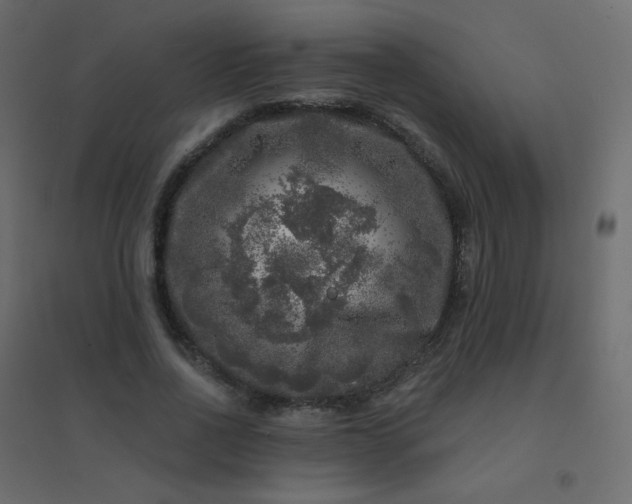 X0000094940734200712131559