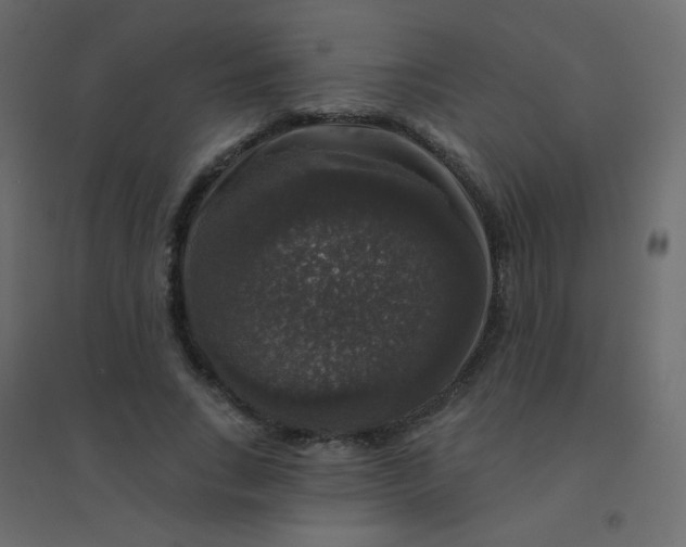 X0000094940735200712131559