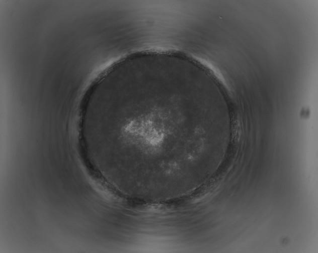 X0000094940736200712131559