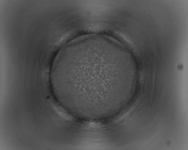 X0000094940737200712131559