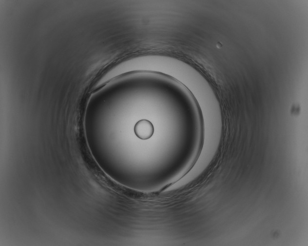 X0000094940740200712131559