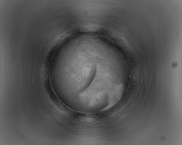 X0000094940743200712131559