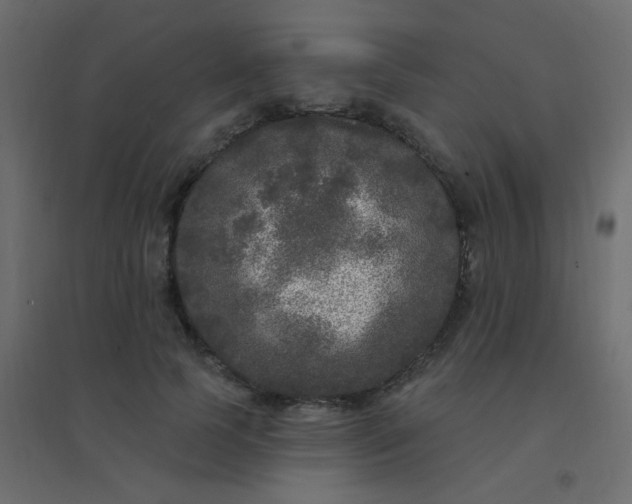 X0000094940745200712131559