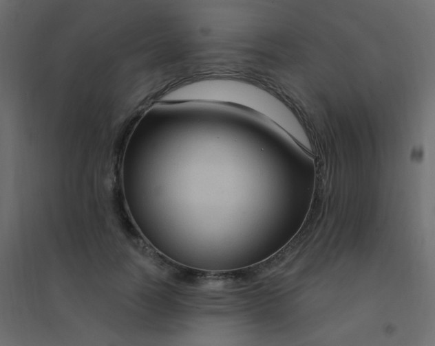 X0000094940746200712131559