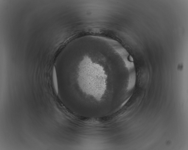 X0000094940747200712131559