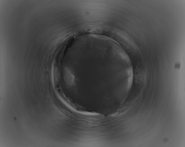 X0000094940748200712131559