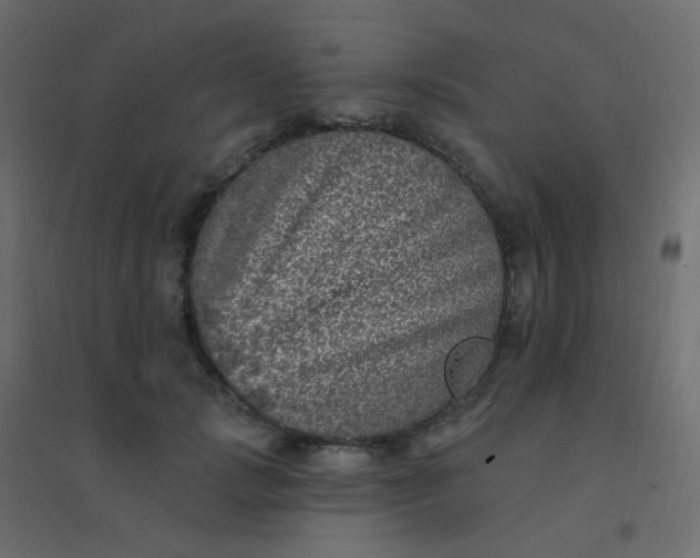 X0000094940749200712131559